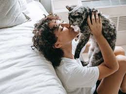 We did not find results for: 7 Things Your Deceased Pet Would Want You To Know The Times Of India