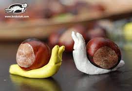 Marrons d inde … wikipédia en français. 7 Bricolages A Faire Avec Les Marrons Berceau Magique Activite Automne Bricolage Enfants Automne Bricolage A Faire