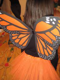 Pin En Monarch Butterfly