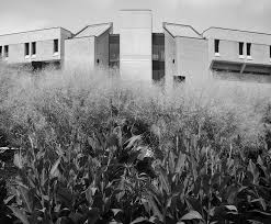 FIFTY-FIRST ANNUAL COMMENCEMENT EXERCISES