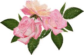 flowers flower spring _fleurs_rose fleur _printem_flowers flflower spring  Summer gif plants, flowers , flower , spring , _fleurs_rose , fleur ,  _printem_flowers , summer , gif , plants - Free animated GIF - PicMix