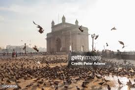 308 Colaba Market Stock Photos, High ...
