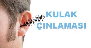 Kulagimda 4 senedir uğultu var yanı bi tur ses insanların söylediklerini konuşmalarını anlamıyorum duyma anlama yeteneğinin çoğunu kaybettim buna nasıl bir. Kulak Cinlamasi Tinnitus Neden Olur Sebepleri Ve Bitkisel Tedavisi