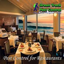 Diy pest control may be tempting, but it can also be time consuming, frustrating and often ineffective. Restaurant Pest Control Services Pest Control Services M S Green Track Pest Control Lucknow Id 22648294430