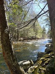 Check spelling or type a new query. Bigelow Brook Wikipedia