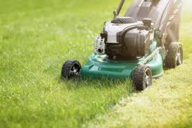 Whether you call it a grass cutter, a brush cutter, or a grass. Different Types Of Lawn Mowers Understanding Your Lawn Mowing Options