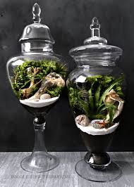 Galerie Doodle Bird Terrariums Terrarium Terrarium Plants Tropical Terrariums