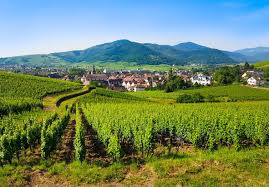 Walking The Alsace Wine Route Macs Adventure
