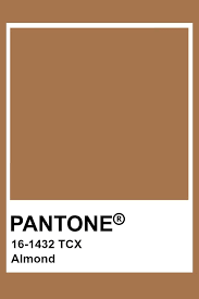 This is why we're offering you this cheat sheet, so you'll always hit the bullseye when choosing clothes and interior decor. Pantone Almond Pantone Colour Palettes Brown Pantone Pantone Color