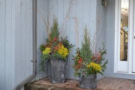 Trees are an exception, because they're planted far enough back that their expansive spread complements the. Conifer Container Garden Ideas Hgtv