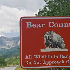 You can not use a metal detector on federal lands, national i live close to the indiana dunes national lakeshore, which is a federal park. 13 Things You Can T Do In Us National Parks