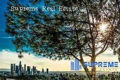 In real estate for over 10 years. Supreme Real Estate Supremereal Profile Pinterest