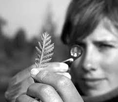 Felicity Shannon's Instagram, Twitter & Facebook