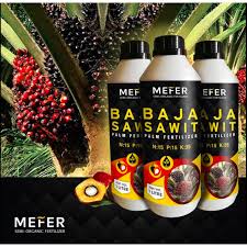 We did not find results for: Baja Sawit Terbaik Price Promotion Jul 2021 Biggo Malaysia