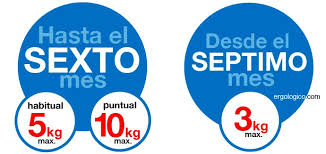 Peso Maximo A Manipular Durante El Embarazo Ergologico