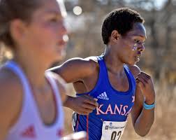 2019 Cross Country In Review