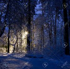 We did not find results for: Beautiful Snow Forest At Night Illumination In The Snowy Forest Stock Photo Picture And Royalty Free Image Image 115996038