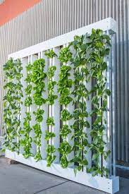 25 Of The Best Plants For Indoor Hydroponic Gardens Backyard Aquaponics Vertical Garden Indoor Vertical Garden
