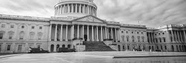 How to use dual citizenship when traveling abroad. Countries Allowing Dual Citizenship Usa Nnu Immigration