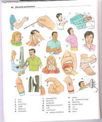 Oxford English Picture Dictionary Diccionario En Ingles Ilustrado English Picture Dictionary Picture Dictionary Oxford English