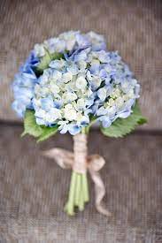 In most species of hydrangea, the flowers are white, but in some they can be shades of blue, red, pink or purple. Simple Blue Hydrangea Wedding Rose Flower Bouquet Wedding Flowers Hydrangea Blue Hydrangea Bouquet Blue Wedding Flowers