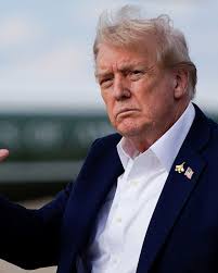 Adorable Rescued Kitten Looks Like She's Always Smiling