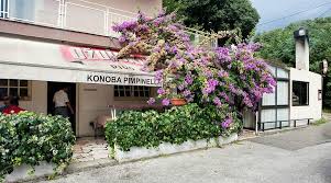 Image result for Pimpinella