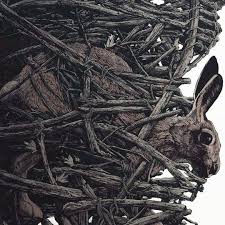 Aj Frena Bunny Rabbit Art School Of Visual Arts Cool Pictures