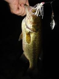 Bass Spawn Map Updated Weekly By The Bass Pros Ma Fish