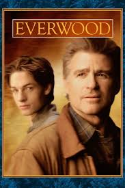 Everwood: Season 1 (2002)