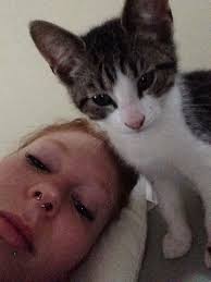 Has anyone seen this young cat?. He's only a year old and he and his  brothers and sister were born in my house with me by their side. He has  beautiful silky