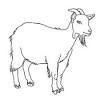 In for young children you will find animals coloring pages, as well as others. 1