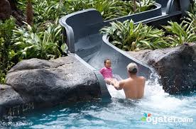 The 15 Best Kid Friendly Hotels In Hawaii Oyster Com Hawaii Hotels Kid Friendly Hotels Kid Friendly Resorts