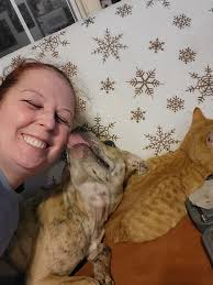 Lost Brindle Greyhound Pittbull Mix in Centerville