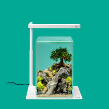 Bonsai Nano Tank Google Search In 2020 Aquarium Landscape Aquascape Tank Design