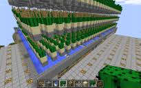 Two minecraft cactus farm choices for 1.16 (2020). Cactus Farm Creation 13262