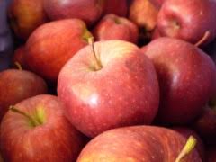 Purea di mela* (39,96%), purea di pera* (35%), purea di pesca* (25%), antiossidante: Mela Giornale Del Cibo