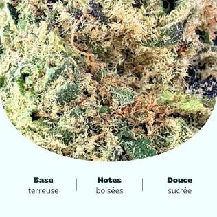 Prescription-grade LA Confidential medical cannabis flower, AI generated