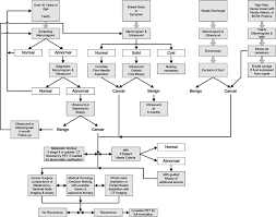 Of course, your specialist is the main person whose advice you should follow but it doesn't do anyone harm. Management Algorithm Of A Breast Cancer Patient Download Scientific Diagram