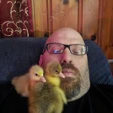 Hydraulic log splitters: winter fluid change?