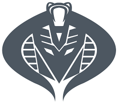 Cobra Decepticon Symbol By Machsabre On Deviantart Decepticon Symbol Cobra Vintage Cartoon
