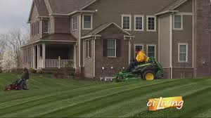 You get to experience and influence your lawn's. Should You Diy Your Lawn Care Or Hire Professionals