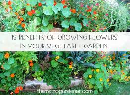 See more ideas about planting flowers, plants, garden. 13 Benefits Of Growing Flowers In Your Vegetable Garden The Micro Gardener