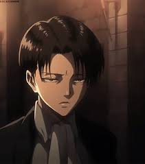 snk, soft and Levi Ackerman