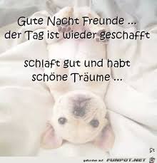 Heute morgen um sieben uhr hat mich mein freund ernö angerufen. Gute Nacht Freunde
