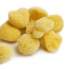 Sponge choice is randomly selected by me. Natural Sea Sponges Bathsupply Sea Sponge Natural Sea Sponge Natural Sponge