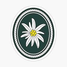 We did not find results for: Bundeswehr Logo Stickers Redbubble