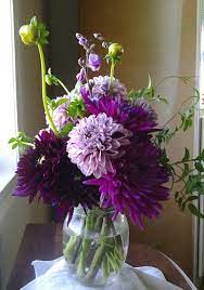 Pin On Dahlias