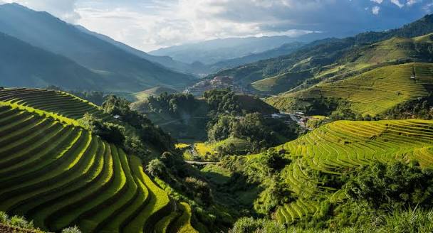 Where to see Vietnam's rice terraces | Vietnam Tourism