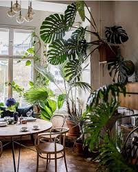 70 Amazing Home Indoor Jungle Decorations Tips And Ideas Hoommy Com Jungle Decorations Room With Plants Interior Plants